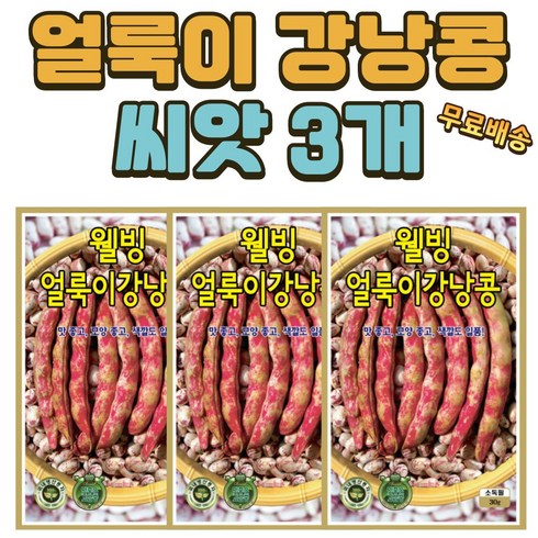 강낭콩씨앗 TOP01