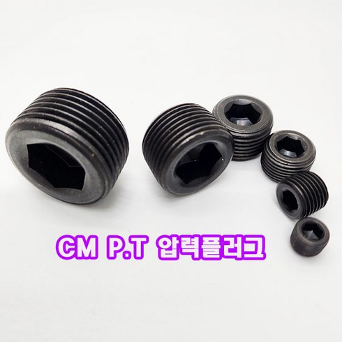 (소량판매) PT 메꾸라볼트/ SCM P.T압력플러그 (1/4인치-5개) 무료배송/스크류 플러그, 5개