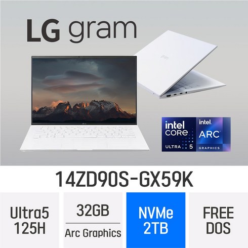14zd90s - LG전자 2024 그램14 14ZD90S-GX59K, Free DOS, 32GB, 2TB, 에센스 화이트