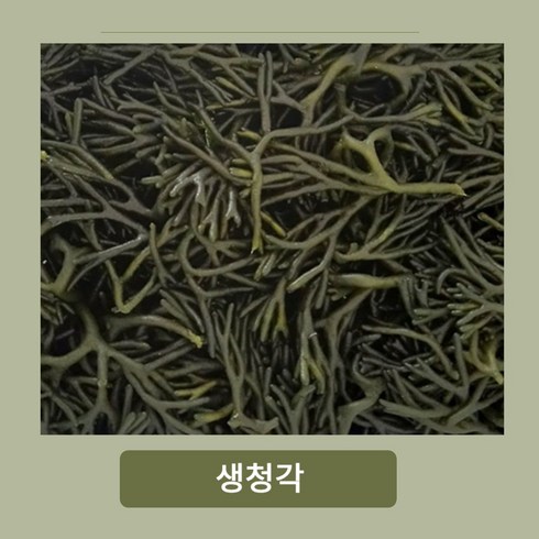 자연산 생청각 김장김치용 국내산, 2개, 400g