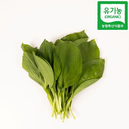 산지직송 홍천 유기농 명이나물 산마늘 1kg 2kg, 1박스