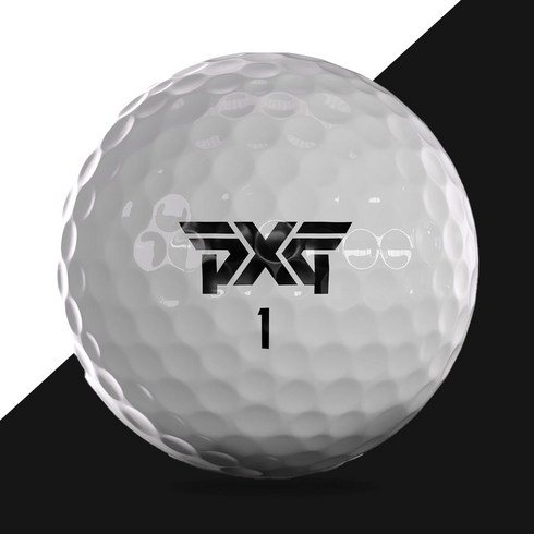 pxg골프공 TOP01