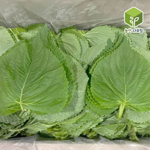 단풍깻잎 - 국내산 찹찹이 깻잎 2kg, 1개