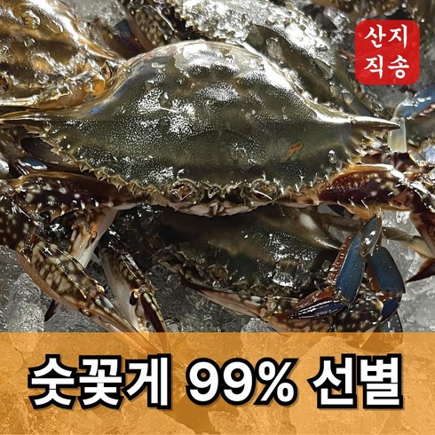 신속발송 산지직송 국내산 제철 꽃게, 1개, 당일조업 숫꽃게 1kg