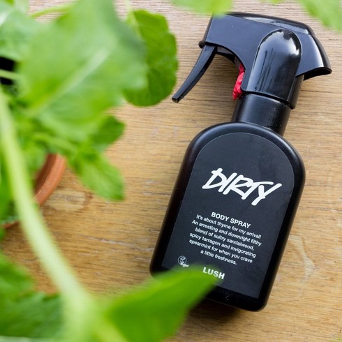 2023년 가성비 최고 러쉬바디스프레이 - 일본 러쉬 LUSH JAPAN dirty 더티 바디스프레이 200ml, 1개