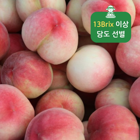 백도 - 고당도 최소 13brix 백도 황도 털복숭아 말랑이 딱딱이, 1개, 백도 말랑이 2kg