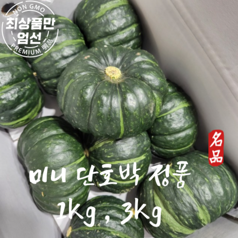 [마지막수량] 국산 해남 달콤파근 미니단호박 미니밤호박 꿀단지 1kg 3kg, 1개, 특상품 미니단호박 1KG(2~4개)