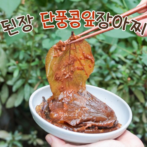 콩잎된장장아찌 - 삭힌 된장콩잎 장아찌 단풍콩잎 순창 장담아, 1개, 500g