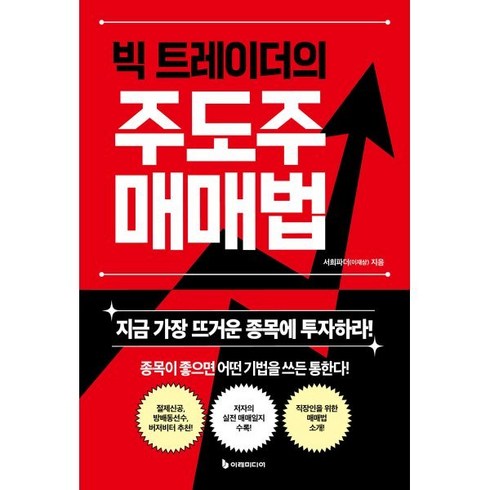 주식관련책 - 빅 트레이더의 주도주 매매법:지금 가장 뜨거운 종목에 투자하라!, 이레미디어, 서희파더