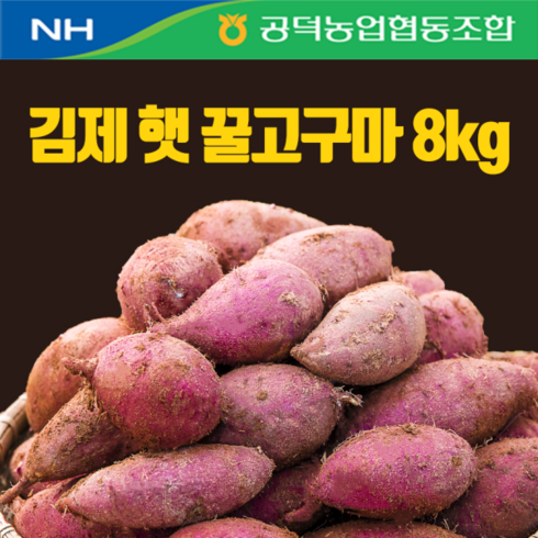 농협 2023 김제 햇 꿀고구마(8kg*1박스), 1