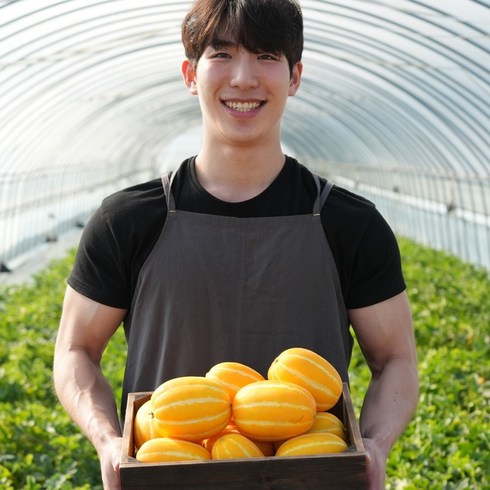 국대농부 못난이 성주참외, 1개, 3kg(혼합과)