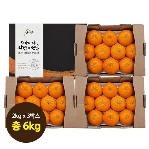 [산지애]제주 햇 레드향 6kg (2kg x 3박스), 3개