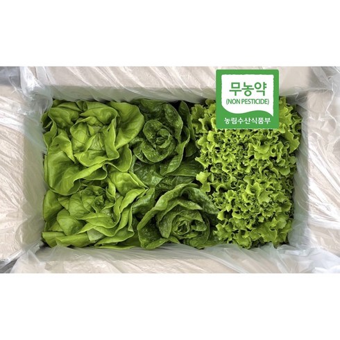 SLSfarm 에스엘에스팜 무농약 유럽 샐러드 상추 1kg, 1개