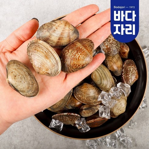 다이버수산 - 당일어획 남해안 다이버 바지락 1kg, 1개