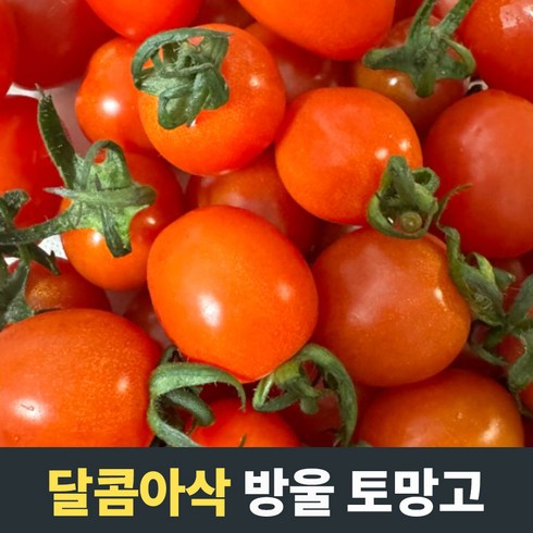 [고당도] 스테비아 방울토마토 1kg 2kg 스테비아토마토 방울토마토 스테비아샤인마토 방울토망고 토망고 스테비아방울토마토 토마토 스테비아토망고 샤인마토 샤인토마토 단마토 스테비아, 1개, 1.5kg(500g*3팩), 1500g