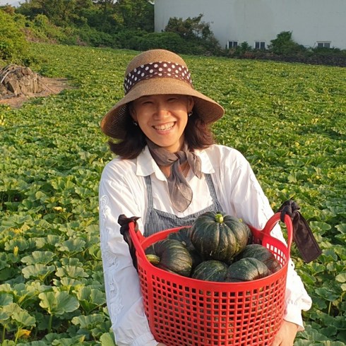 제주 미니 단호박 7kg - 제주 새시멀농장 미니단호박 (밤호박 보우짱), 1박스, 10kg 대과 (20개내외)