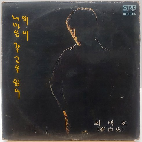 최백호lp - [중고LP] 최백호 윤정하 신곡모음 (내마음 갈곳을 잃어/빈자리) LP