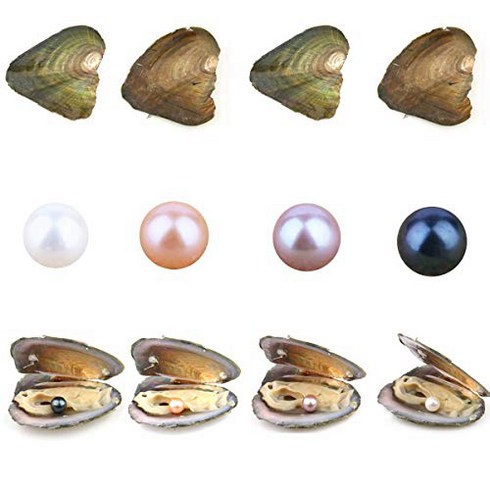 4PCS Freshwater Cultured Pearl Oyster with Four Mix Color Pearls Inside 4 Colors (6.5-7.5mm) Jewelry, 1