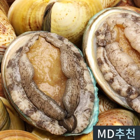 [100%자연산] 전라남도 완도 전복 1KG 선물세트, 프리미엄 7~8미 1kg