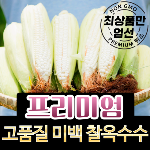 강원도 옥수수 - [강원도 산지직송] 생 옥수수 햇옥수수, 1박스, (특품) 옥수수 30개입