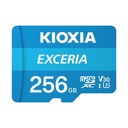 키오시아pro - 키오시아 EXCERIA 마이크로 메모리 카드 홈캠 블랙박스 CCTV SD LMEX1L256GG2, 256GB, 1개