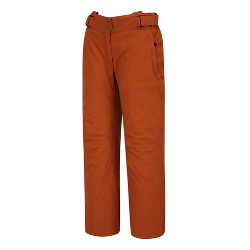 2023년 가성비 최고 골드윈데모팬츠 - GOLDWIN 팀복데모복 W ALPINE PANTS_GP6NI82 BRS