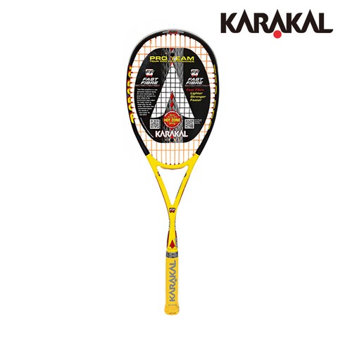 카라칼 체육용품 테크프로 엘리트 실내운동기구