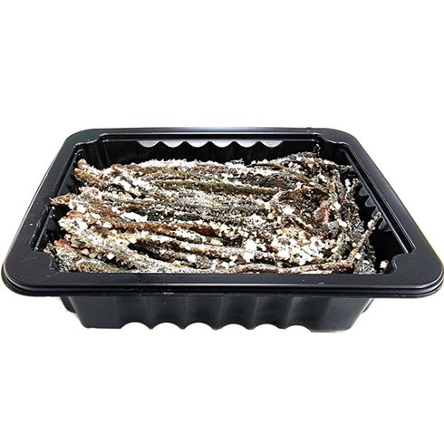 천일염 염장 갯지렁이 미끼 청개비, 130g, 1개
