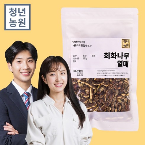 청년농원 회화 나무 열매, 2개, 250g