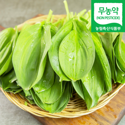 명이나물 TOP01