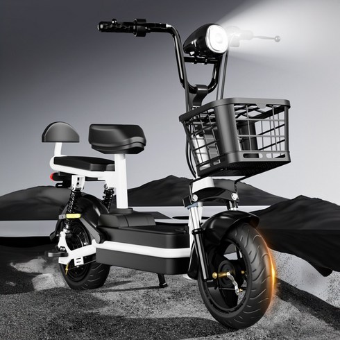전기자전거 - 힘좋은 전기자전거 배달용 전기 자전거 전동 스쿠터 2인승 전지 오토바이, 12A 65KM, 그린