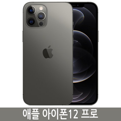 2023년 가성비 최고 아이폰15프로맥스 자급제 - Apple 아이폰 12 Pro Max 자급제, 그래파이트, 512GB