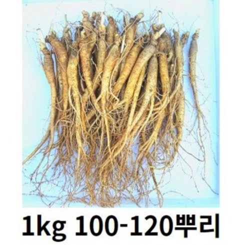 금산인삼 삼계탕 1.2kg x 8팩  - 인삼 금산인삼 수삼 100-120 뿌리 삼계탕 용인삼업소용 삼계탕인삼 햇인삼 삼계탕재료 금산인삼직거래, 750g 80-100뿌리 (세척 X ), 1개