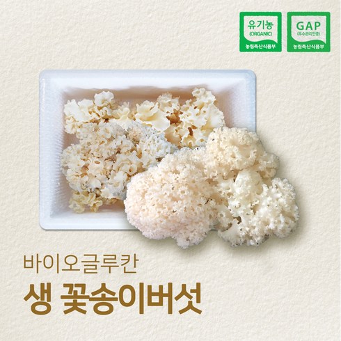 꽃송이버섯 - 유기농 GAP 인증 국내산 생꽃송이버섯 최상급, 1kg, 1개