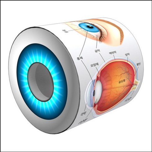 눈의구조 TOP01