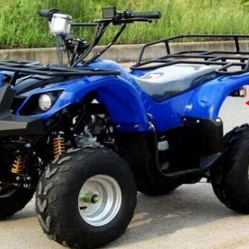 사륜 4륜 바이크 사발이 농업용 효도상품 125cc atv, 블루