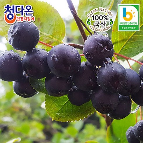 2023년 가성비 최고 아로니아 - 햇 아로니아생과(냉동) 5kg / 꼭지제거 / 최상급, 1개