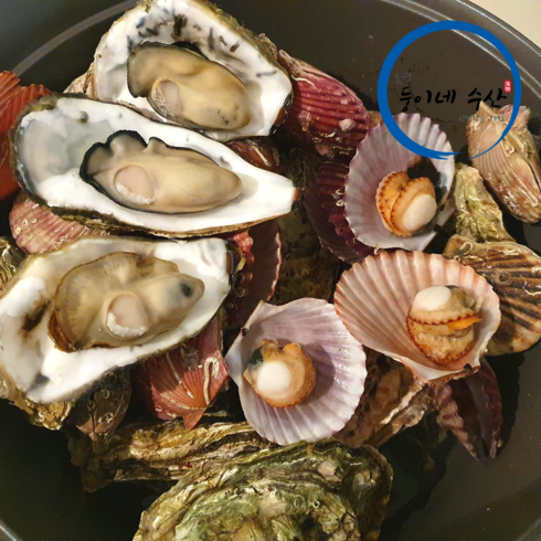 둥이네수산 청정해역 통영 고압 브러쉬세척 석화 홍가리비 세트, 석화5kg+가리비3kg