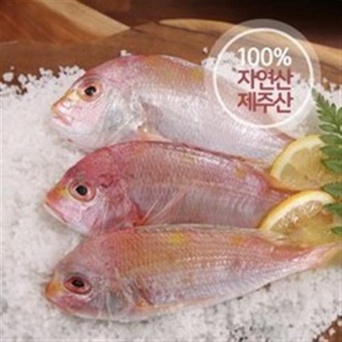 국내산 자연산 황돔 300g10팩  총 30마리 - 기타 제주 자연산 황돔 300g*13팩(팩당 3마리 포장) / 총 39마리, 1세트