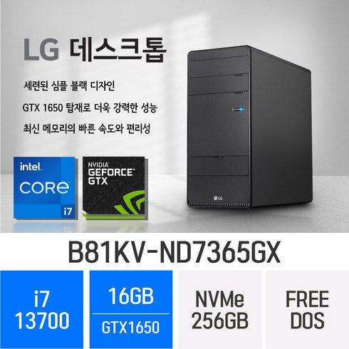 LG 데스크탑 B81KV-ND7365GX - i7 CPU + GTX1650, 16GB, 256GB, Free Dos