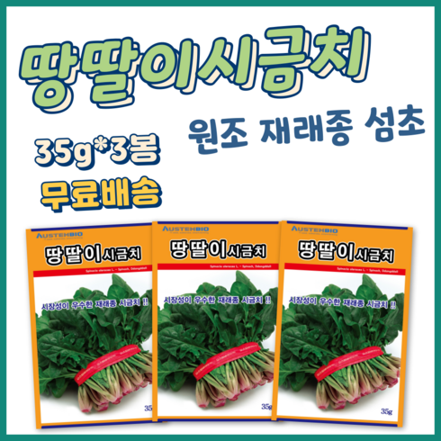 시금치씨앗 - 주주씨앗 땅딸이시금치 씨앗 35g 3봉 겨울 월동 재래종 섬초 종자 씨, 1세트