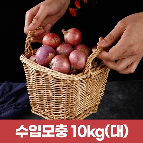 샬롯에게는다섯명의제자가있다 - 수입모충 샬롯 작은양파10kg (큰사이즈), 1개