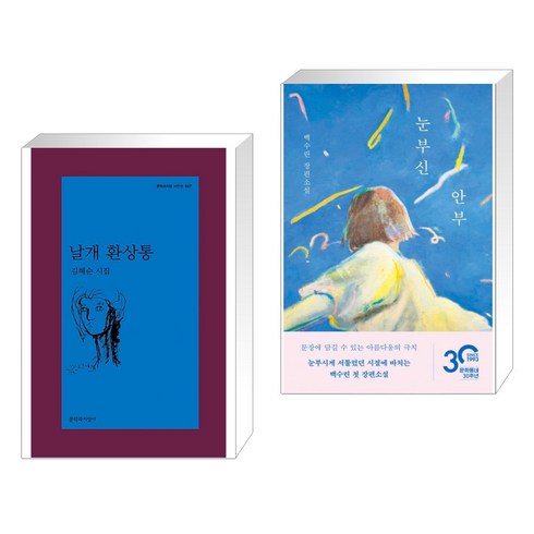 날개 환상통 + 눈부신 안부 (전2권), 문학과지성사