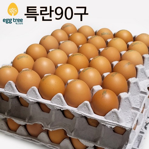 [오늘낳은 달걀] HACCP농가 에그트리 생계란, 90구, 1개