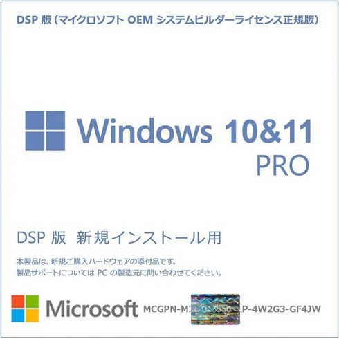 윈도우10dsp - Windows 11 / 10 DSP 일본어판설치 프로그램 USBWindows