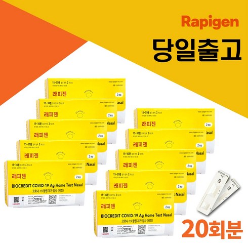 래피젠 - 약국용 익투스케어 래피젠 rapigen 항원 자가진단키트 코로나 오미크론, 10개, 2개입