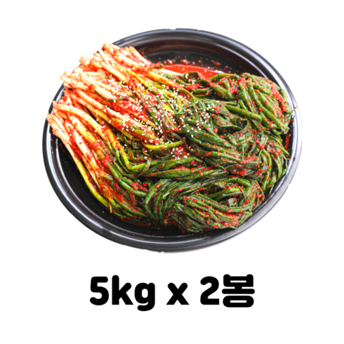 하나애 파김치/쪽파김치/업소용 김치 10kg(5kgx2봉), 2개, 5kg