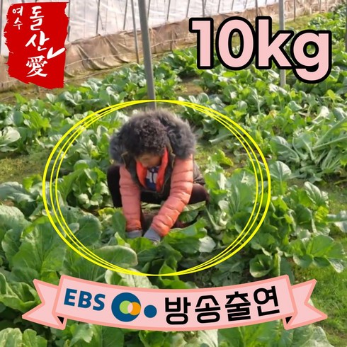 돌산갓 - [여수돌산애] 여수 돌산갓 돌산 생갓 5kg 10kg {대량납품전문} 당일수확 산지직송 청갓 갓장아찌용 갓피클용 김장용 갓김치용 여수갓, 1개