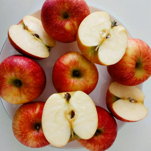 [고당도]예산 엔비 사과 가정용 2.5kg 5kg 10kg, 가정용2.5kg(10~13개 소과), 1개