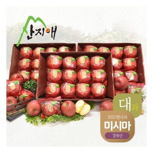 [산지애]씻어나온 미시마 사과 9kg 24~36과 (3kg*3박스 대과), 3개